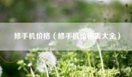 修手机价格（修手机价格表大全）