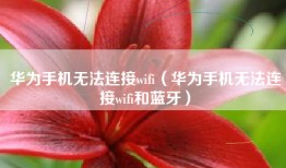 华为手机无法连接wifi（华为手机无法连接wifi和蓝牙）