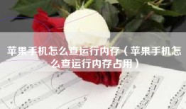 苹果手机怎么查运行内存（苹果手机怎么查运行内存占用）