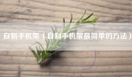 自制手机架（自制手机架最简单的方法）