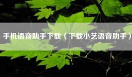 手机语音助手下载（下载小艺语音助手）