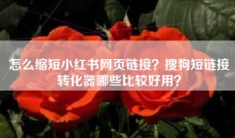 怎么缩短小红书网页链接？搜狗短链接转化器哪些比较好用？