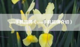 vivo手机品牌（vivo手机品牌介绍）