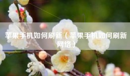 苹果手机如何刷新（苹果手机如何刷新网络）