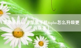 苹果手机6sp（苹果手机6splus怎么升级更高版本）