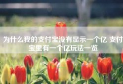 为什么我的支付宝没有显示一个亿 支付宝里有一个亿玩法一览