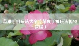 苹果手机玩法大全（苹果手机玩法视频教程）