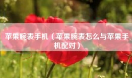 苹果腕表手机（苹果腕表怎么与苹果手机配对）