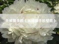 杀破狼手机（杀破狼手机壁纸）