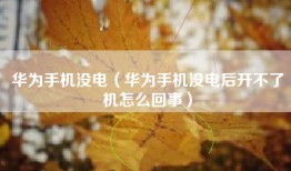 华为手机没电（华为手机没电后开不了机怎么回事）