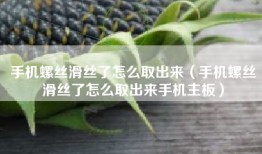 手机螺丝滑丝了怎么取出来（手机螺丝滑丝了怎么取出来手机主板）