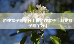 游戏盒子哪个好手机游戏盒子「游戏盒子哪个好」