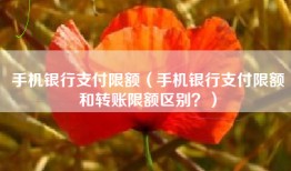 手机银行支付限额（手机银行支付限额和转账限额区别？）