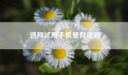 进网试用手机是假货吗