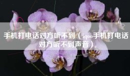 手机打电话对方听不到（iqoo手机打电话对方听不到声音）