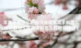 苹果平板怎么截图快捷键苹果手机怎么快速截屏「苹果平板怎么截图快捷键」