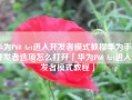 华为P60 Art进入开发者模式教程华为手机开发者选项怎么打开「华为P60 Art进入开发者模式教程」