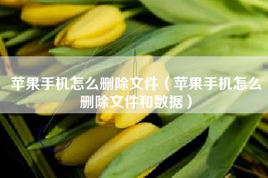 苹果手机怎么删除文件（苹果手机怎么删除文件和数据）