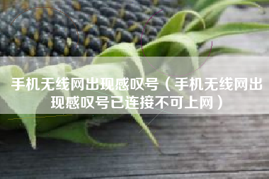 手机无线网出现感叹号（手机无线网出现感叹号已连接不可上网）