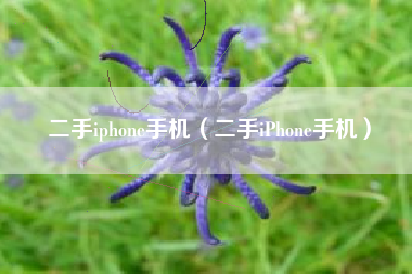 二手iphone手机（二手iPhone手机）