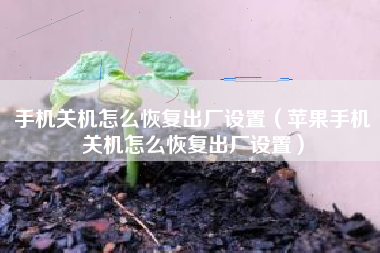 手机关机怎么恢复出厂设置（苹果手机关机怎么恢复出厂设置）